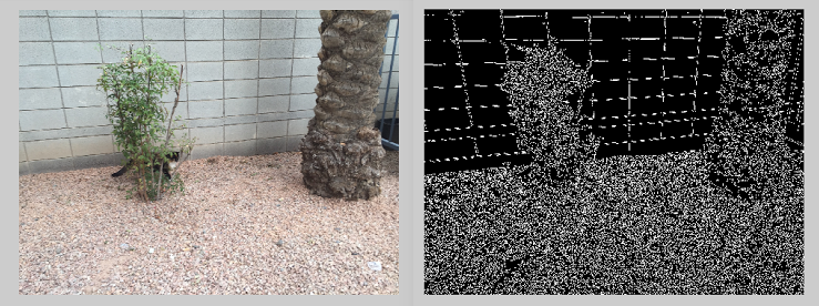 convolution before and after